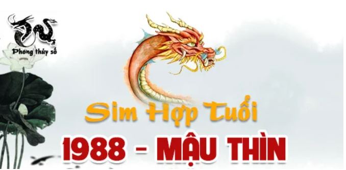 Lý giải chọn sim phong thủy hợp tuổi 1988 để hóa giải Đại Vận cho tuổi Mậu Thìn