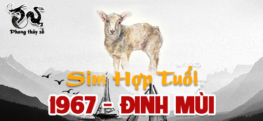 Tuổi Đinh Mùi hợp với số điện thoại nào - Cách tính sim hợp tuổi 1967