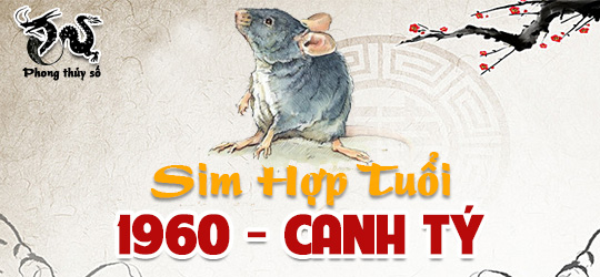 Tuổi Canh Tý hợp với số điện thoại nào - Cách chọn sim hợp tuổi Canh Tý