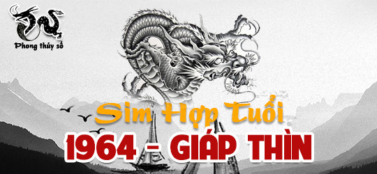 Bật bí cách chọn sim phong thủy hợp tuổi 1964 - Mua sim hợp tuổi Giáp Thìn