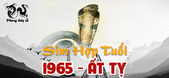 Tra cứu số điện thoại hợp tuổi 1965 - Chọn sim hợp tuổi Ất Tỵ