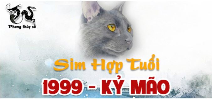 Tuổi Kỷ Mão hợp với số điện thoại nào? Luận sim hợp tuổi 1999