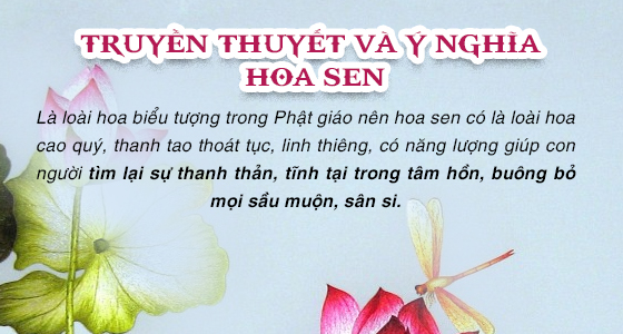 Ý nghĩa của Hoa Sen Phong Thủy là gì? Cách chọn hoa sen phong thủy