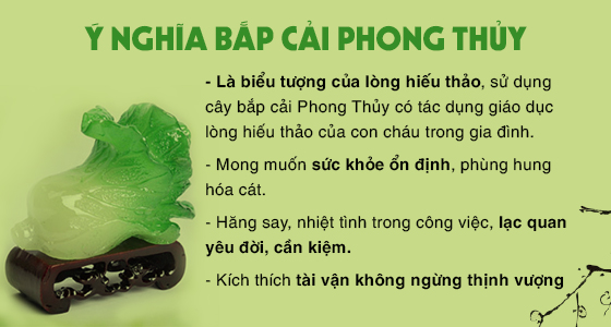 Ý NGHĨA CỦA CÂY BẮP CẢI TRONG PHONG THỦY LÀ GÌ?