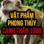 Chia sẻ top 4 vật phẩm phong thủy cho tuổi Canh Thân 1980