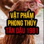 Tư vấn chọn vật phẩm phong thủy cho tuổi Tân Dậu 1981