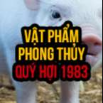 Bật mí top 4 vật phẩm phong thủy cho tuổi Quý Hợi 1983