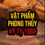 Chia sẻ cách chọn vật phẩm phong thủy cho tuổi Kỷ Tỵ 1989 #Miễn Phí