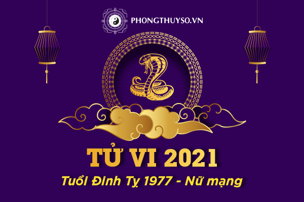 tu-vi-dinh-ty-2021-nu-mang