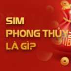 SIM PHONG THỦY LÀ GÌ?