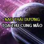 SAO THÁI DƯƠNG TỌA THỦ CUNG MÃO: HÀO PHÓNG LỖI LẠC, CUỘC SỐNG SUNG TÚC