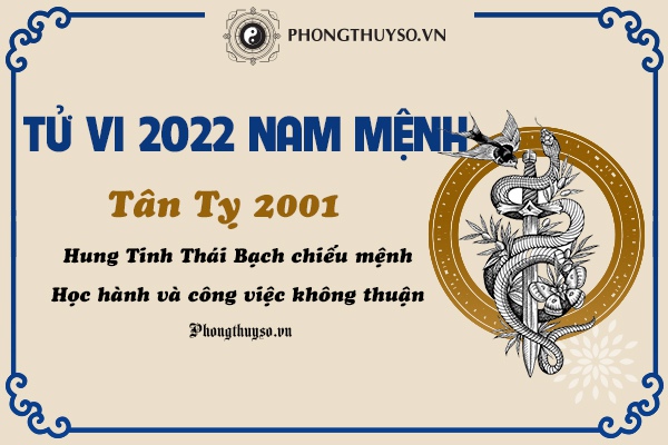 Tử Vi Tuổi Tân Tỵ Năm 2022 - Nữ Mạng 2001 Chi Tiết