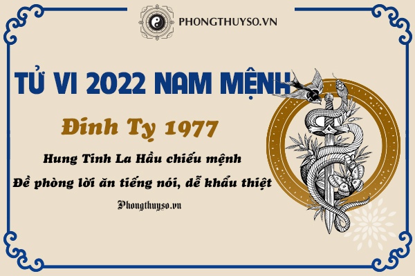 XEM TỬ VI TUỔI ĐINH TỴ 1977 NAM MẠNG NĂM 2022 - NongDanMo - SOILGOLDEN - SOILGOLDEN