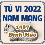 XEM TỬ VI TUỔI ĐINH MÃO 1987 NAM MẠNG NĂM 2022