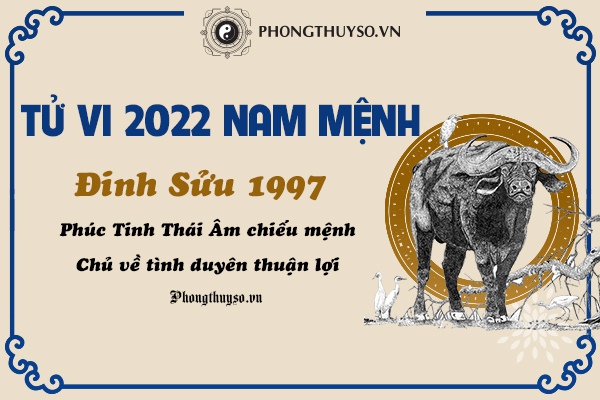 Tử Vi Tuổi Đinh Sửu Năm 2022 - Nam Mạng 1997 Chi Tiết