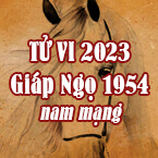 XEM TỬ VI TUỔI GIÁP NGỌ 1954 NAM MẠNG NĂM 2023