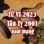 XEM TỬ VI TUỔI TÂN TỴ 2001 NAM MẠNG NĂM 2023
