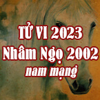XEM TỬ VI TUỔI NHÂM NGỌ 2002 NAM MẠNG NĂM 2023
