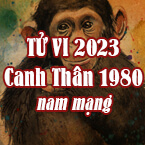 XEM TỬ VI TUỔI CANH THÂN NAM MẠNG 1980 NĂM 2023