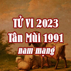 XEM TỬ VI TUỔI TÂN MÙI 1991 NAM MẠNG NĂM 2023