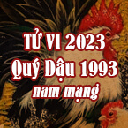 XEM TỬ VI TUỔI QÚY DẬU 1993 NAM MẠNG NĂM 2023