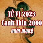 XEM TỬ VI TUỔI CANH THÌN 2000 NAM MẠNG NĂM 2023
