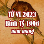 XEM TỬ VI TUỔI BÍNH TÝ 1996 NAM MẠNG NĂM 2023