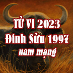 XEM TỬ VI TUỔI ĐINH SỬU 1997 NAM MẠNG NĂM 2023