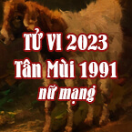 XEM TỬ VI TUỔI TÂN MÙI 1991 NỮ MẠNG NĂM 2023