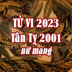 XEM TỬ VI TUỔI TÂN TỴ 2001 NỮ MẠNG NĂM 2023