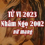 XEM TỬ VI TUỔI NHÂM NGỌ 2002 NỮ MẠNG NĂM 2023