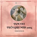 Xem về các năm Tam Tai của 2003 Quý Mùi chi tiết theo chuyên gia