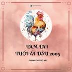 #Vận hạn - 3 năm Tam Tai của 2005 Ất Dậu chi tiết theo chuyên gia