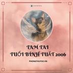 Xem về 3 năm Tam Tai của 2006 Bính Tuất chi tiết và chính xác