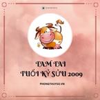 Luận về các năm Tam Tai của 2009 Kỷ Sửu #chi tiết #chuẩn xác