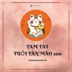 [Giải đáp] 3 năm Tam Tai của 2011 Tân Mão chuẩn xác cùng chuyên gia