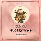 Tuổi 1989 Tam Tai năm nào? Luận Cách tính và Hóa Giải Chi tiết