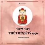 [Giải đáp] Ba năm Tam Tai của 1996 Bính Tý #Chi tiết #Chuẩn xác