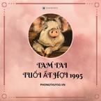 Năm Tam Tai của 1995 - tuổi Ất Hợi | Cách hóa giải vận hạn