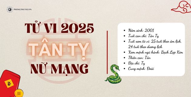 tử vi tuổi tân tỵ năm 2025 nữ mạng