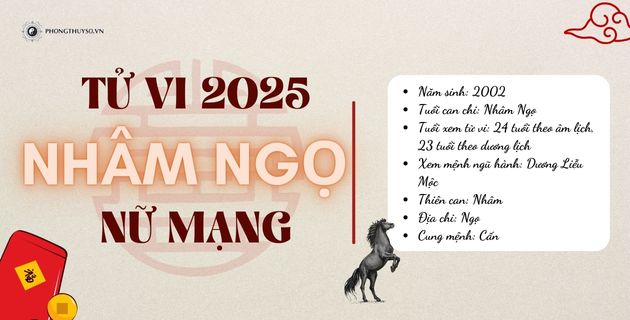 tử vi tuổi nhâm ngọ nữ mạng năm 2025