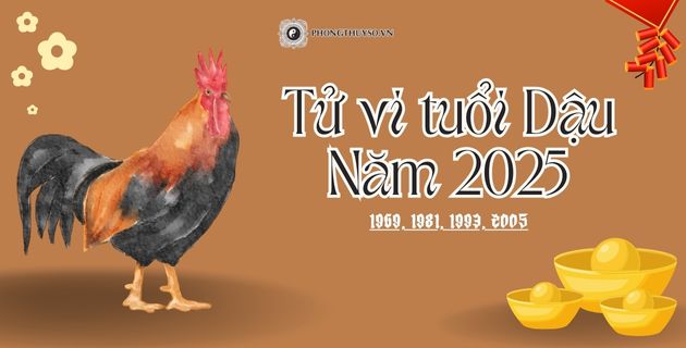 tử vi tuổi dậu năm 2025