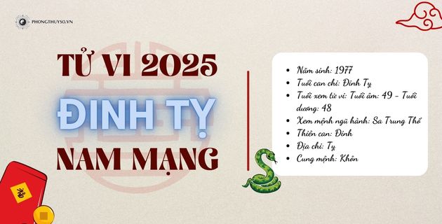 tử vi tuổi đinh tỵ nam mạng năm 2025