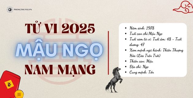 tử vi tuổi mậu ngọ năm 2025 nam mạng