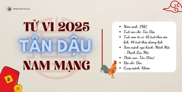 tử vi tuổi tân dậu nam mạng năm 2025