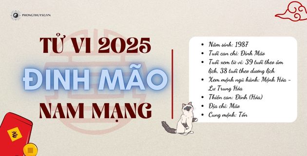 tử vi tuổi đinh mão nam mạng năm 2025