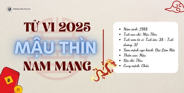 tử vi tuổi mậu thìn năm 2025 nam mạng