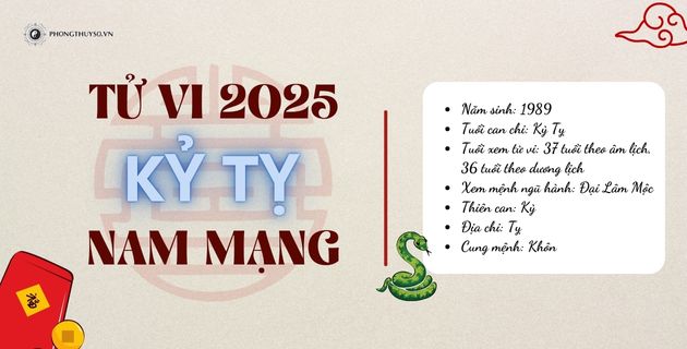 Xem Tử Vi Tuổi Kỷ Tỵ Năm 2025 Nam Mạng - Tiền Tài Thất Thoát