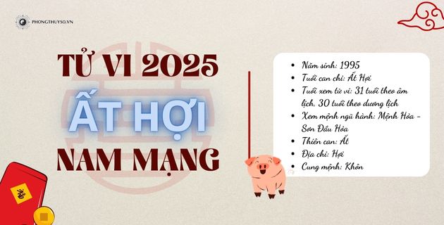 Xem bói Tử Vi Tuổi Ất Hợi Năm 2025 Nam Mạng Theo 12 Tháng