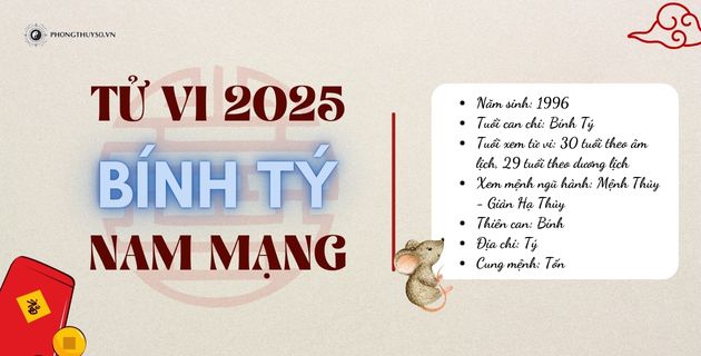 Luận Giải Tử Vi Tuổi Bính Tý Năm 2025 Nam Mạng #Chi Tiết Nhất